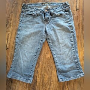 Stylish Light Blue Cropped Women's Jeans